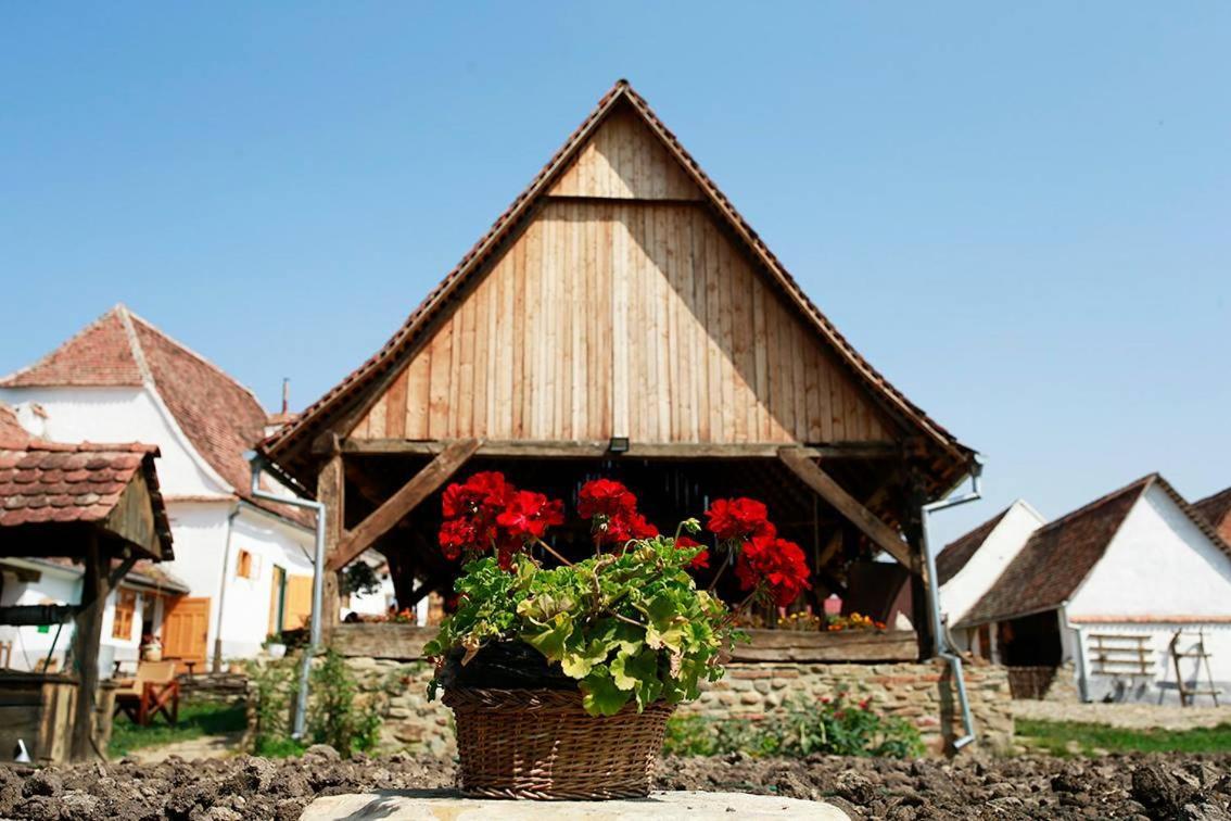 La Hansi In Szászkeresztúr Kültér fotó